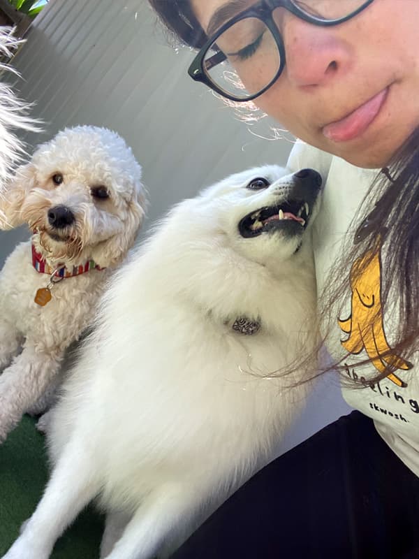 Girl with two dogs with funny faces